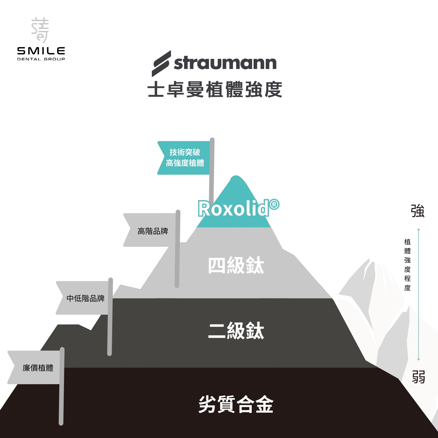 straumann士卓曼植體強度-1480